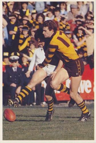 1982 Scanlens VFL Football Heroes #16 Michael Tuck Front